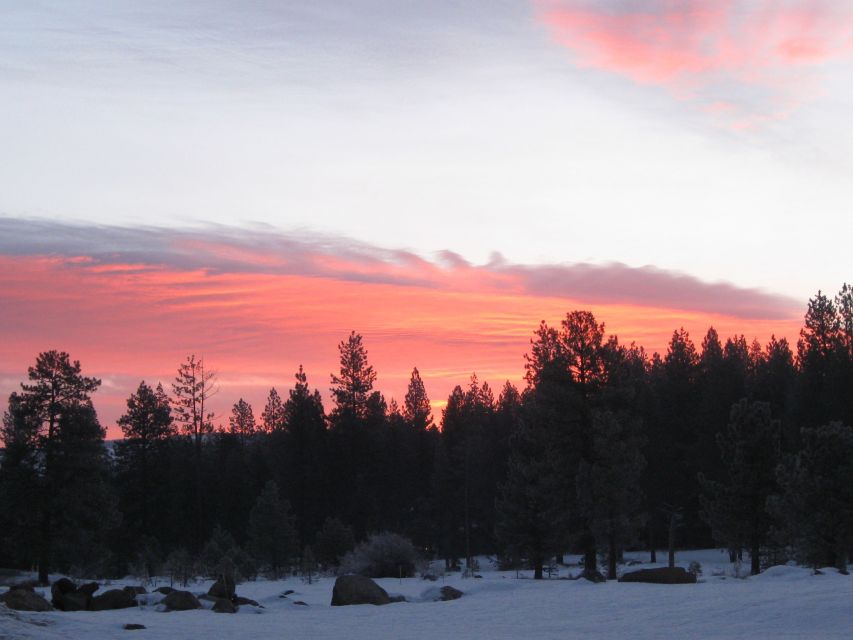 Lake Tahoe: Sunset Snowshoe Trek With Hot Drinks and Snacks - Experience Description