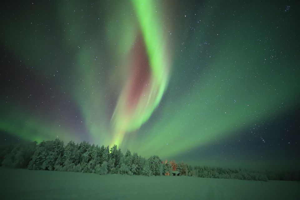 Levi: Aurora Borealis Bus & Snowshoe Tour With Hot Drink - Tour Details