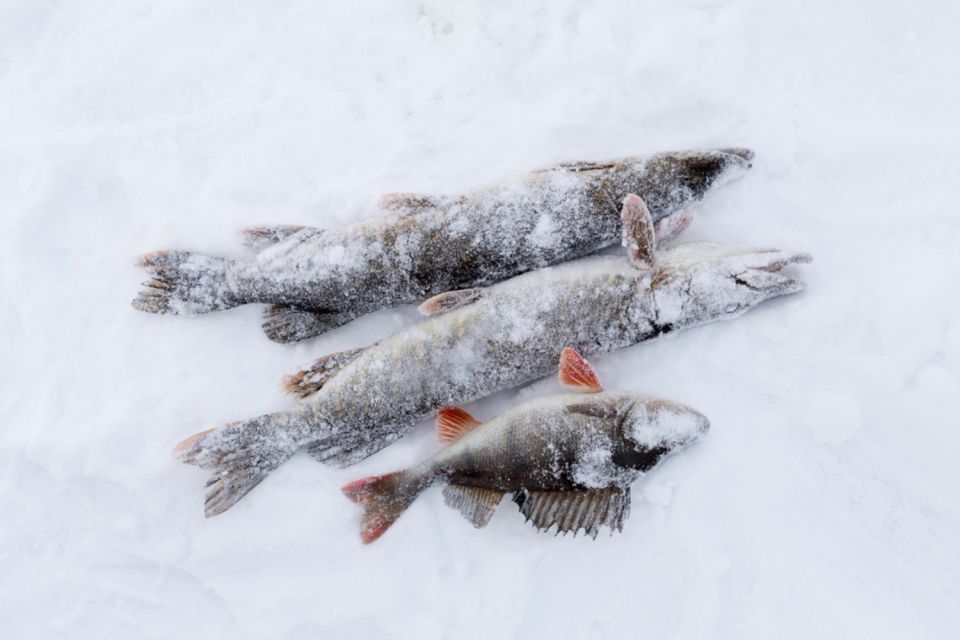 Levi: Ice Fishing by Snowmobile - Picnicking in the Wilderness