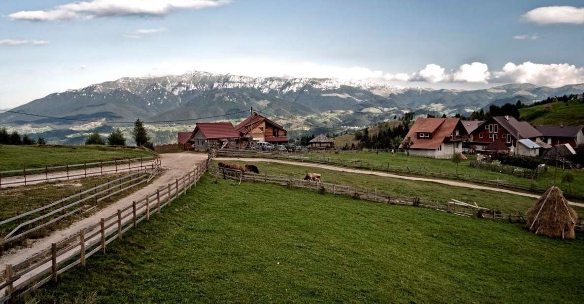 Local Experience in Brasov and Its Surroundings - Transylvanian Village: High-Altitude Charm