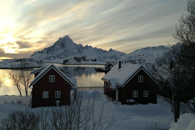 Lofoten Winter Photography Tour - Tour Features