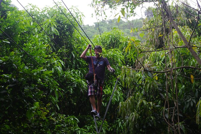 Loterie Farm: Fly Zone Treetop Zip-Line Adventure - Essential Equipment and Gear