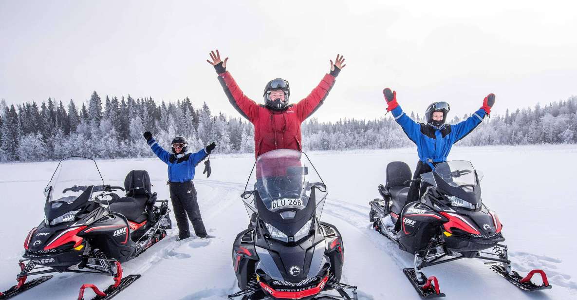 Luleå: Snowmobile - Forest and Ice Nature Tour 2h - Exploring the Luleå Archipelago