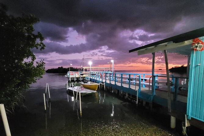 Luminous One Puerto Rico- Bio Bay Boat Ride With Swimming - Viewing Conditions