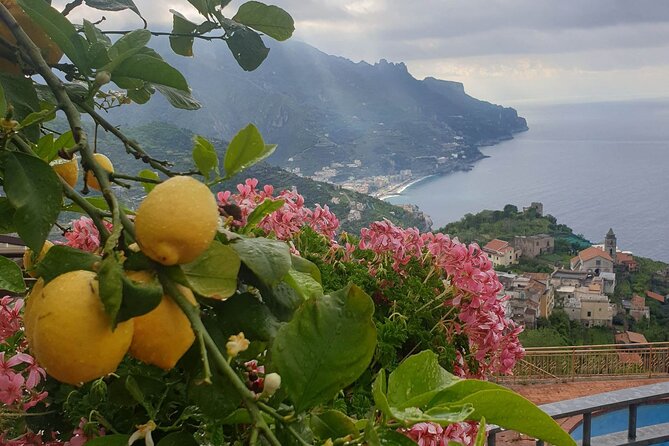 Luxury Tour From Positano to Pompeii, Ravello, Amalfi - Inclusions and Accessibility