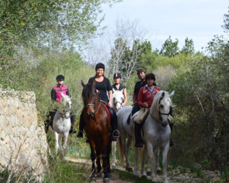 Mallorca: Guided Horseriding Tour of Randa Valley - Highlights of the Experience