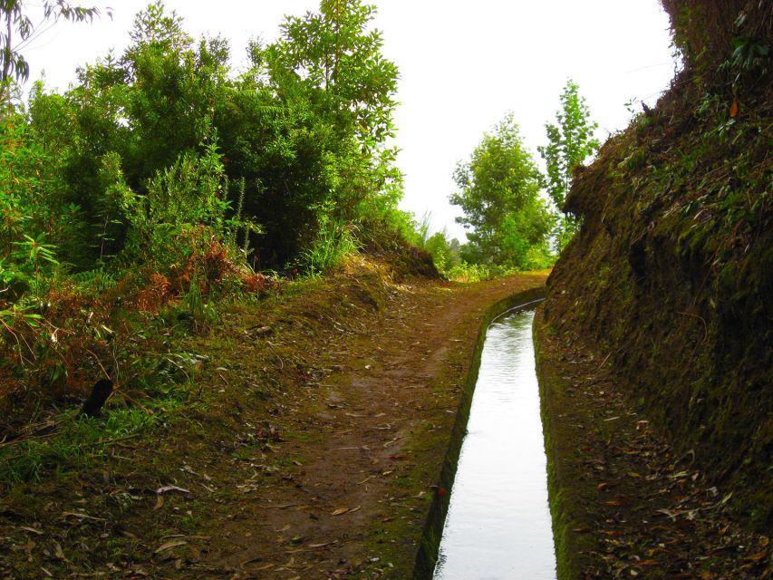 Marocós / Mimosa Valley - Levada Walk - Agricultural Wonders and Crops