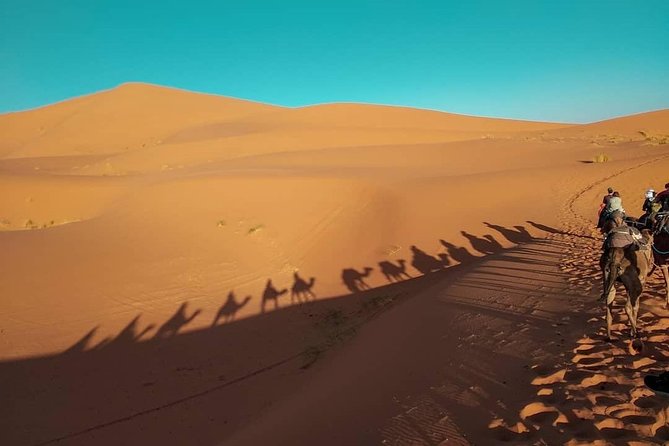 Marrakech to Fez via Merzouga Desert 3-Day Morocco Tour - Itinerary Details