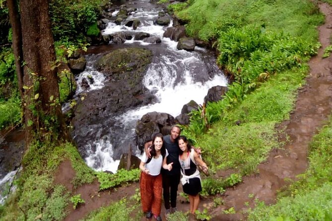 Materuni Waterfalls & Coffee Making Cultural Tour | BURIGI CHATO SAFARIS LTD - Inclusions