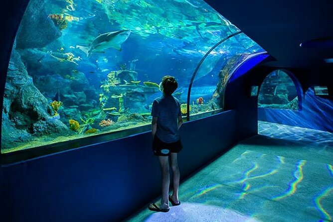 Mauritius Odysseo Oceanarium in Port Louis - Dining and Refreshments