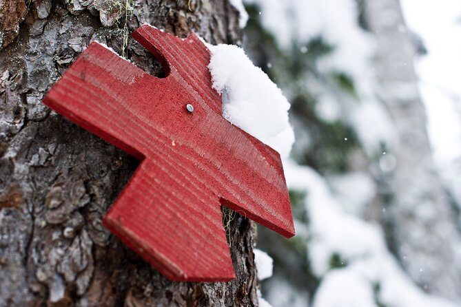 Medicine Trail Snowshoe Tour - Sampling Medicinal Plant Tea