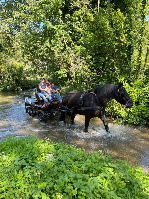 Mentheville: Horse-Drawn Carriage Ride in the Countryside - A Unique Sightseeing Experience