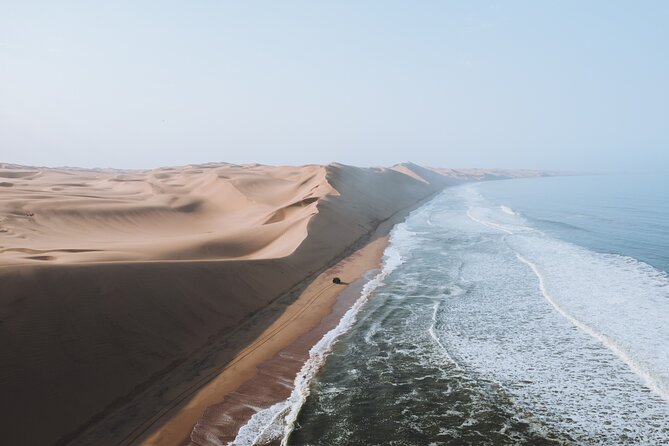 Mola Mola Marine Dune Experience - Spotting Namibias Captivating Wildlife