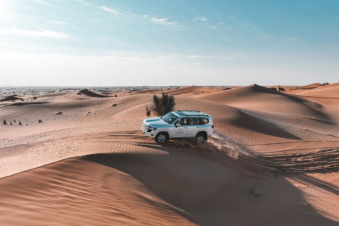 Morning Desert Adventure - Shared Vehicle - Inclusions