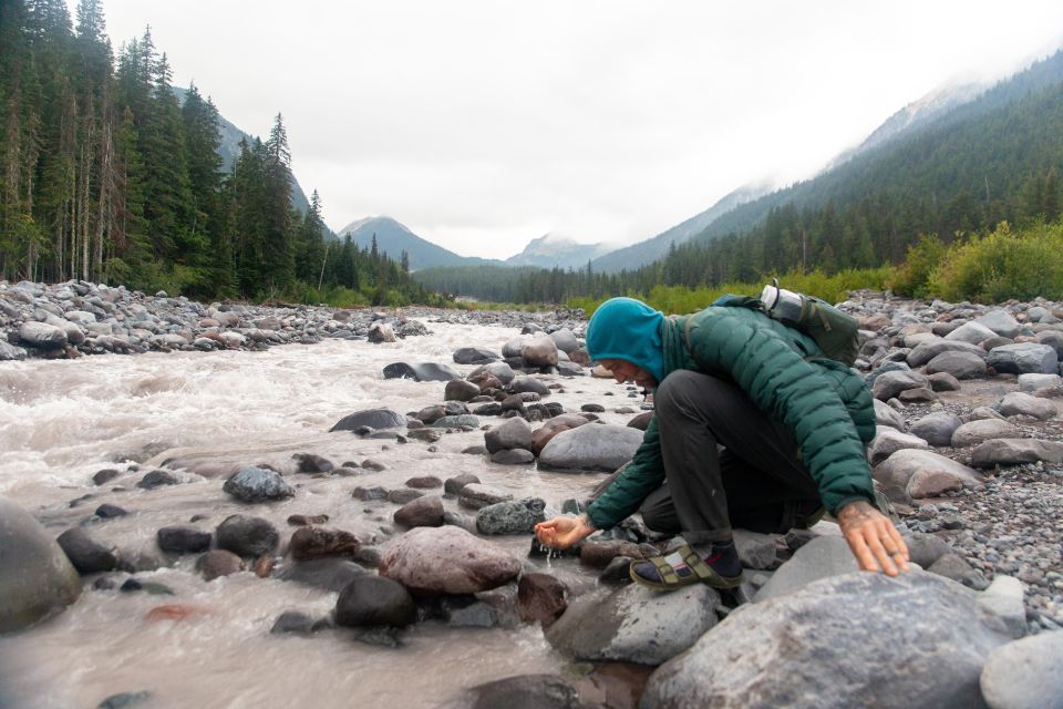 Mount Rainier National Park: Full Day Private Tour & Hike - Exploring Old-Growth Forests