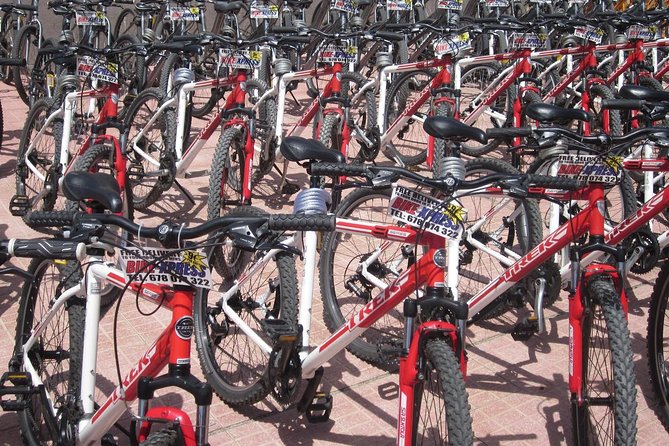 Mountain Bike Rental Tenerife - Rental Experience Details