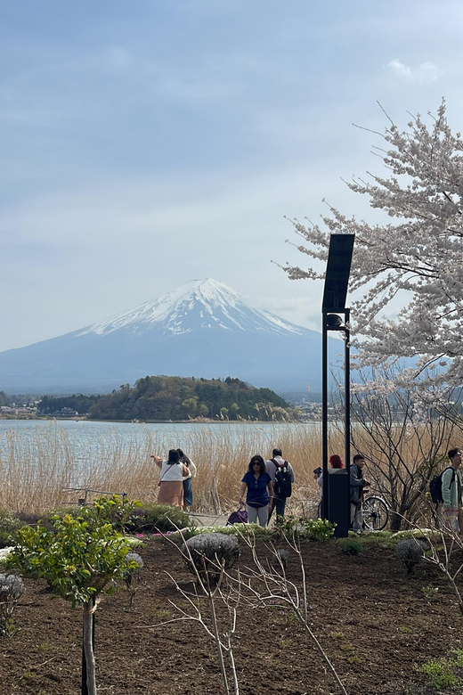 Mt. Fuji One Day Private Tour by Car With English Driver - Itinerary Highlights