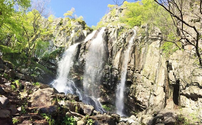 Mt. Vitosha and Boyana Waterfall Hiking Tour From Sofia - Difficulty Level