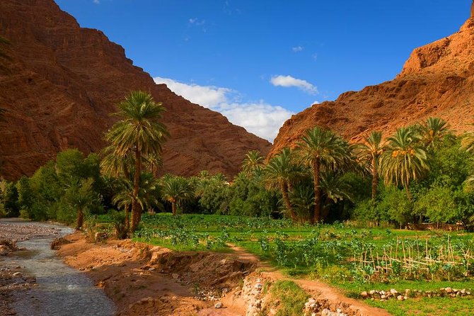 Multi Day Trip From Marrakech to Fes Via Sahara Desert - Camel Trekking in Sahara