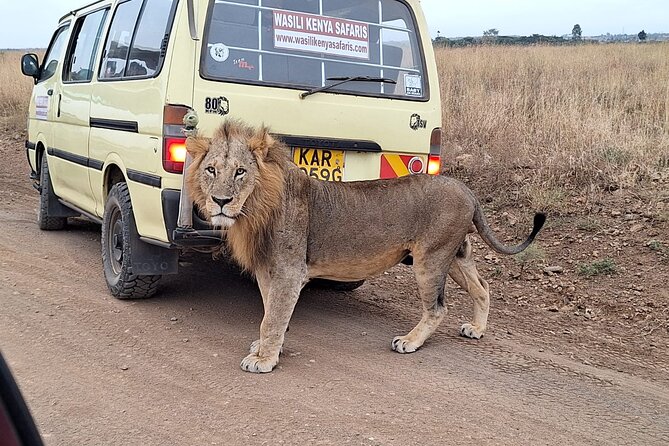 Nairobi National Park Drive (Small Group Tour) - Meeting Point and Pickup