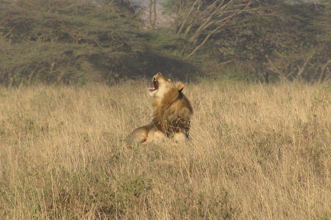 Nairobi National Park Tour - Included in the Tour