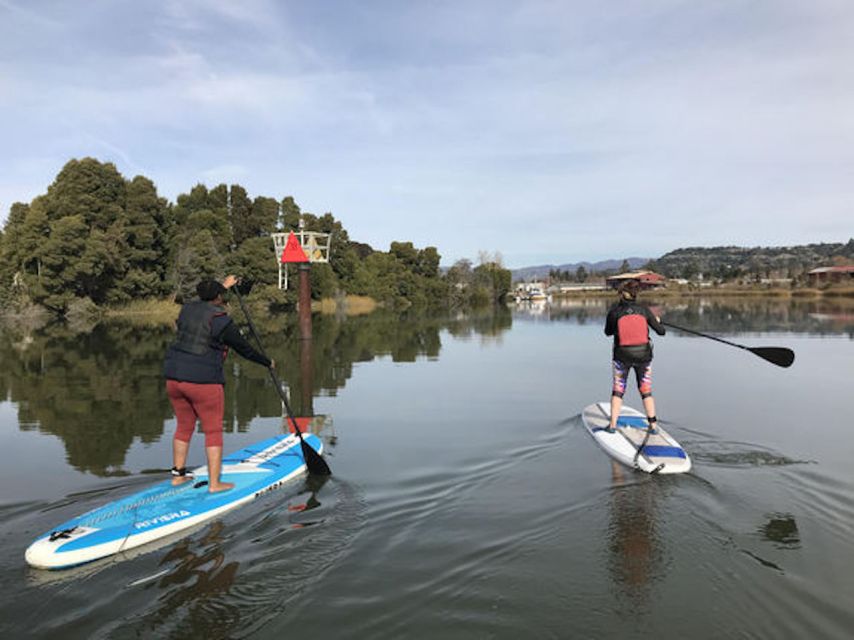 Napa Valley: Napa River Stand Up Paddle Board Rental - Experience Highlights