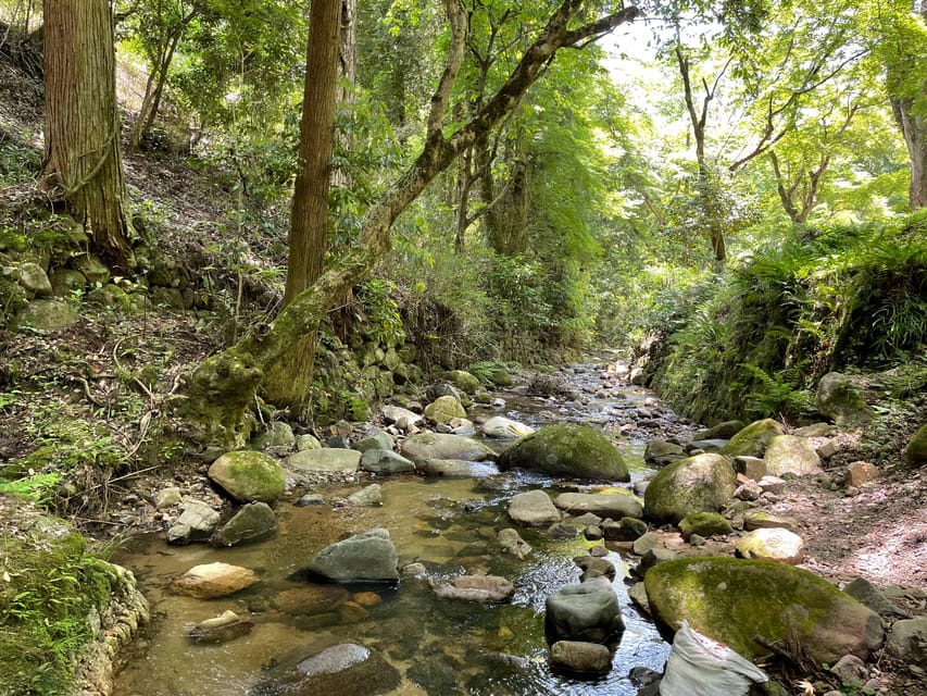 Nara: Discover Countryside Tour Review - Itinerary Highlights