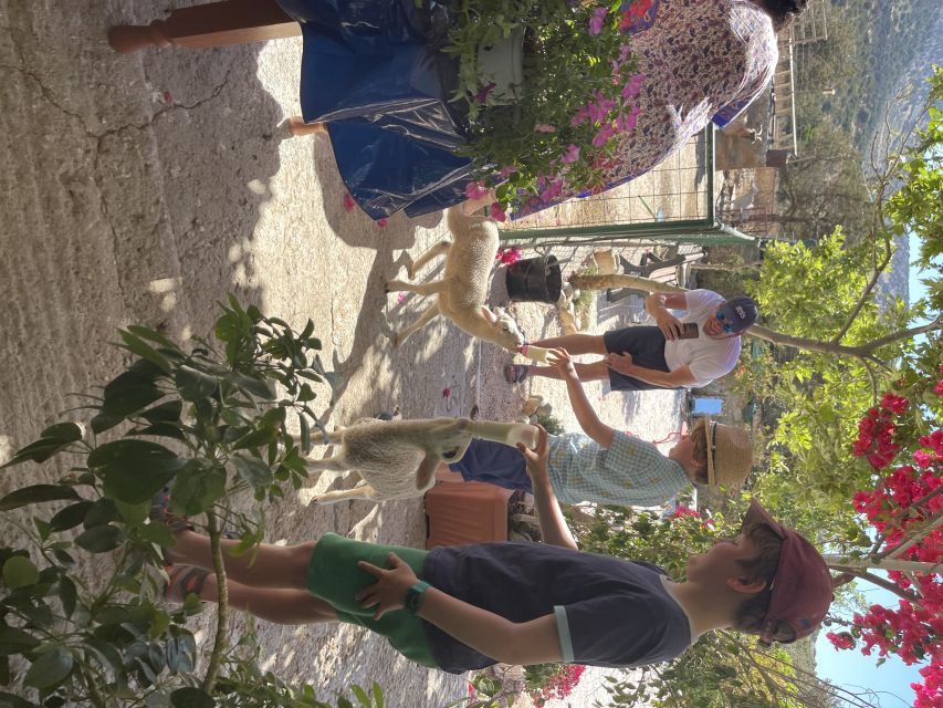 Naxos: Private Half-Day Family-Friendly Tasting Tour - Activities and Experiences