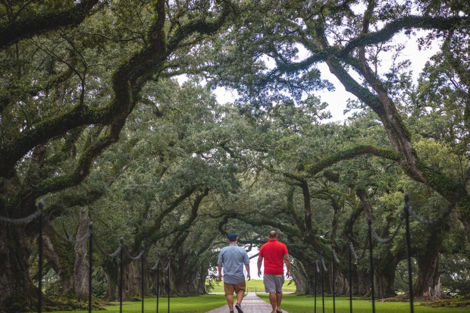 New Orleans Garden District Tour - Experience Highlights