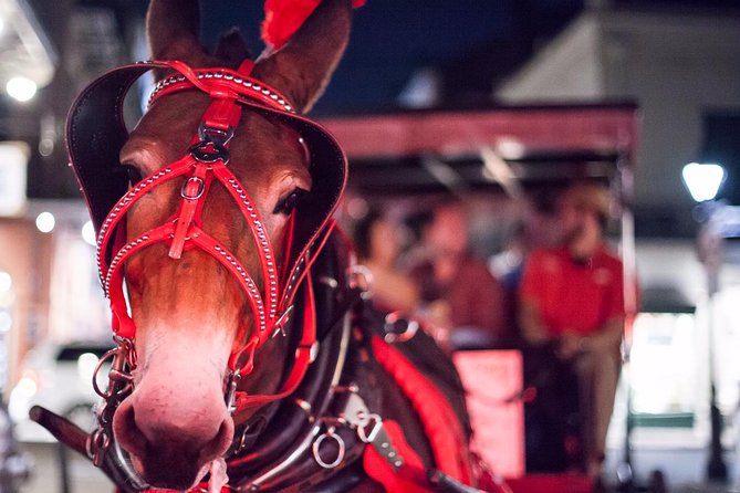 New Orleans Small-Group Haunted History Carriage Tour - Inclusions and Accessibility