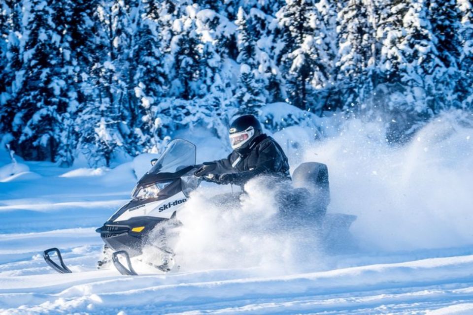 North Pole Alaska: Guided Fairbanks Snowmobile Tour - Booking and Pricing Details