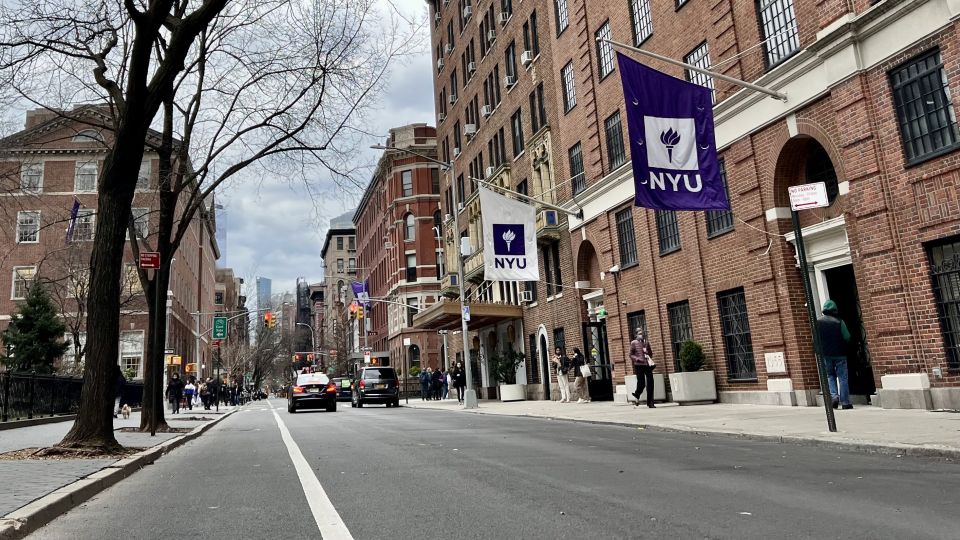 NYC: Greenwich Village Guided Walking Tour - Neighborhoods Counterculture History