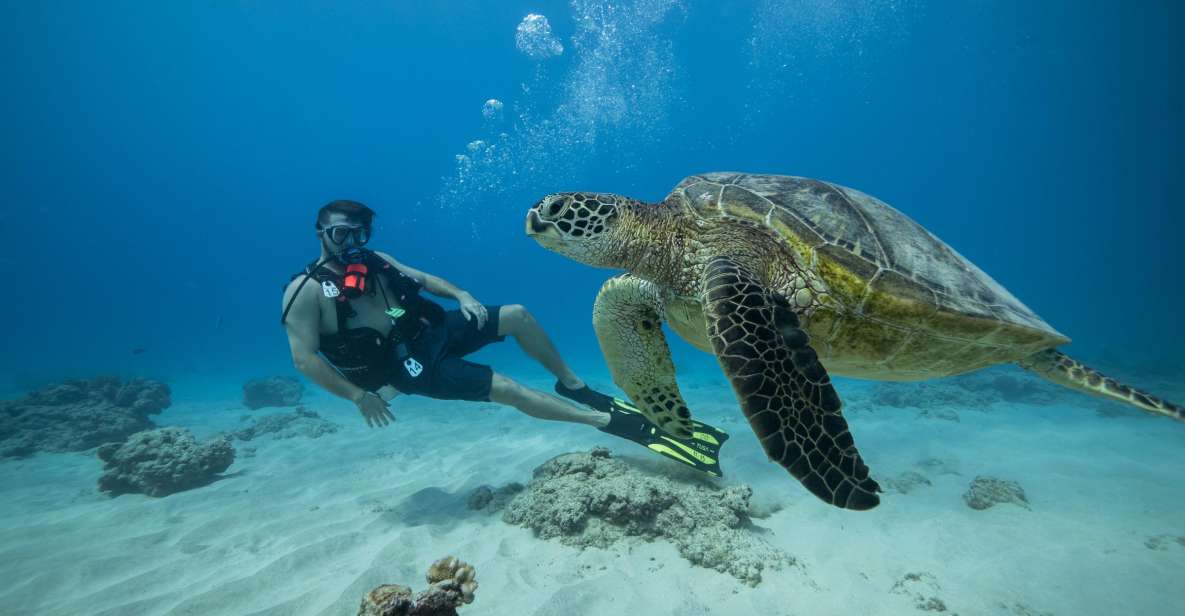 Oahu: Waikiki Discovery Scuba Diving for Beginners - PADI Certified Instructor-Led Tours