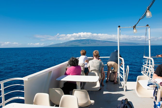 Oahus Favorite Whale Watch! (2 Hours; Ala Wai Harbor, Oahu) - Meeting Point and Departure Times