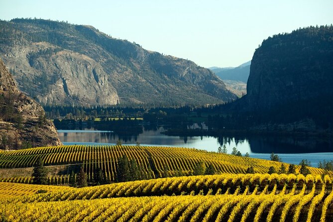 Okanagan Falls Wine Experience From Vernon - 4 Wineries - Winery Visits and Tastings