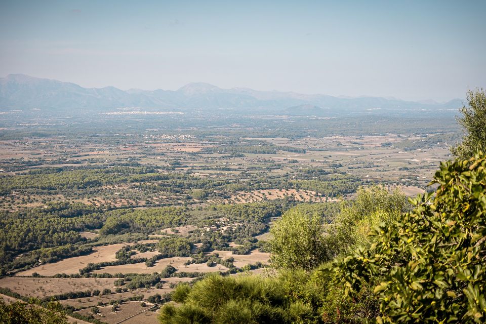 On Road Buggy Tour Mallorca - Experience Highlights