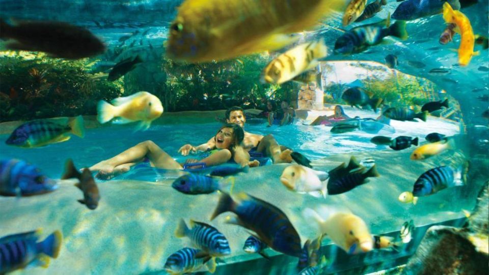 Orlando: Aquatica Water Park Admission Ticket - Thrilling Water Rides and Attractions