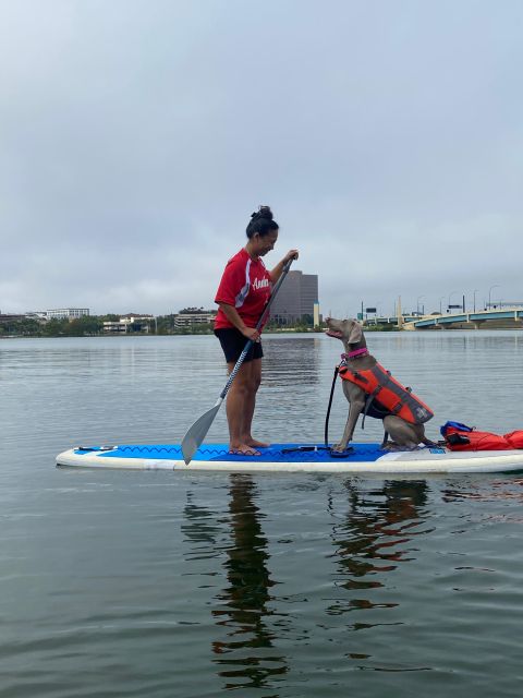 Orlando: Paddle With Pups in Paradise - Paddleboard or Kayak - Paddling Adventures for Dogs of All Sizes