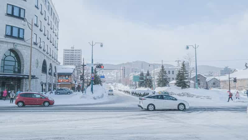 Otaru Tour: the Charm of Hokkaidos Historic Port City - Experience Highlights