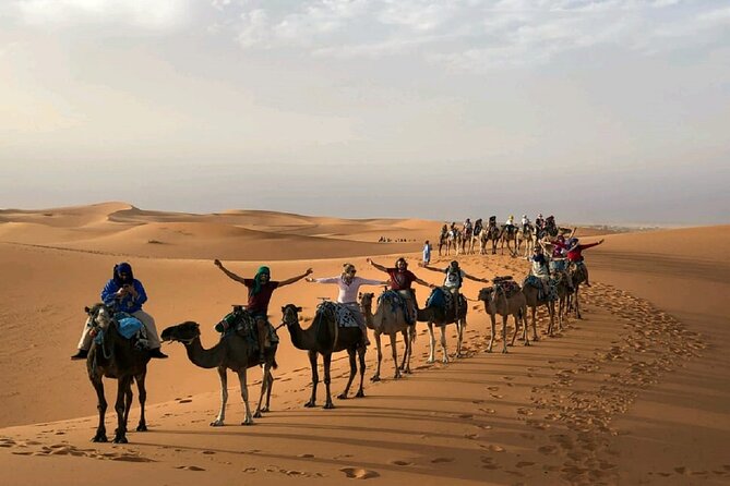 Overnight Camel Trekking in Merzouga Desert/ Erg Chebbi - Witnessing the Desert Sunset