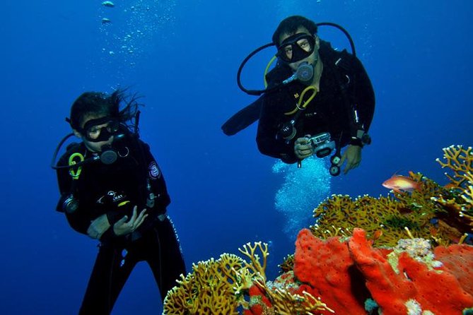 PADI Discover Scuba Diving Course in Bayahibe - Instructor and Gear