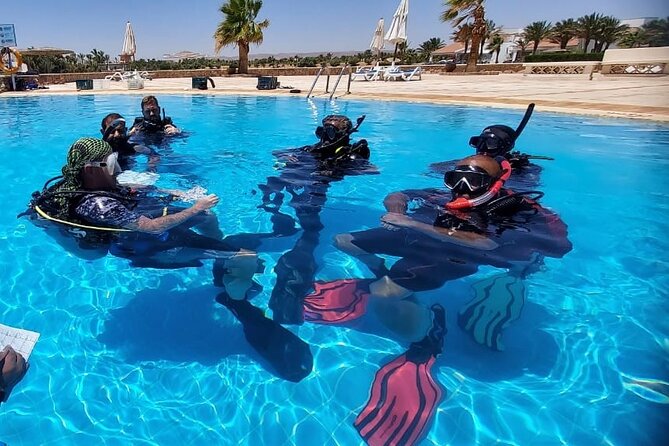 PADI Open Water Diver Course in Hurghada - Learn Scuba Diving - Meeting and Pickup