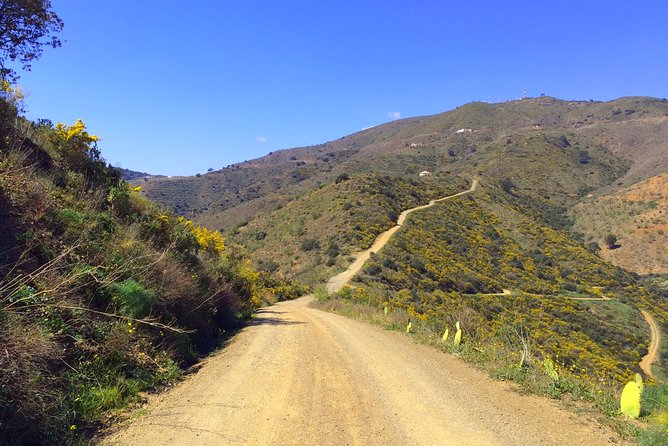 Panoramic Buggy Tour From Malaga - Scenic Countryside