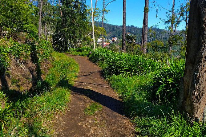 Paradise Valley - Levada Walk - Inclusions