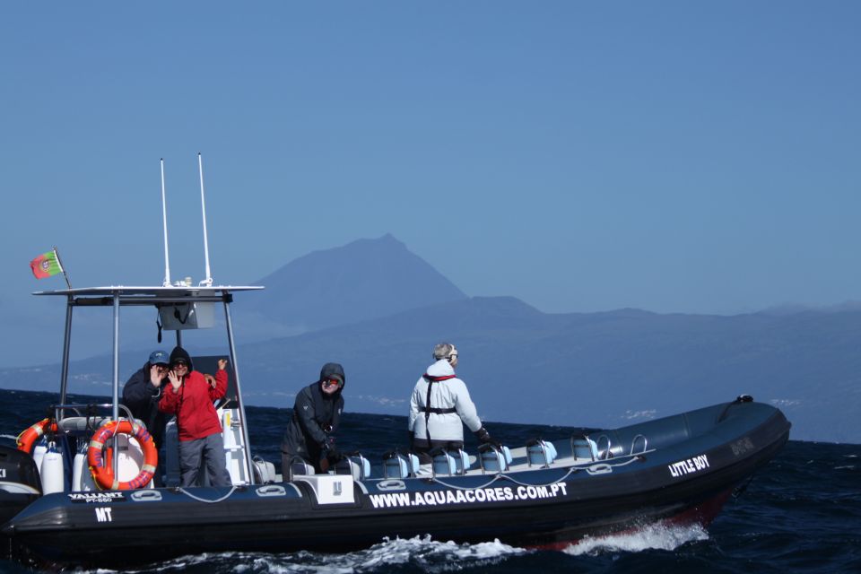 Pico Island: Azores Whale & Dolphin Watching on Zodiac Boat - Excursion Duration and Pricing