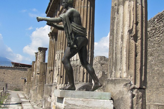 Pompeii Half Day Trip From Naples - Inclusions