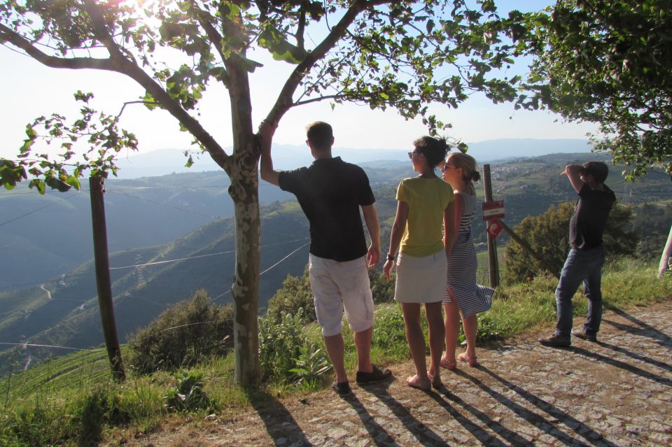 Porto: 3 Douro Valley Vineyards Tour With Lunch - Wine Tasting Experiences