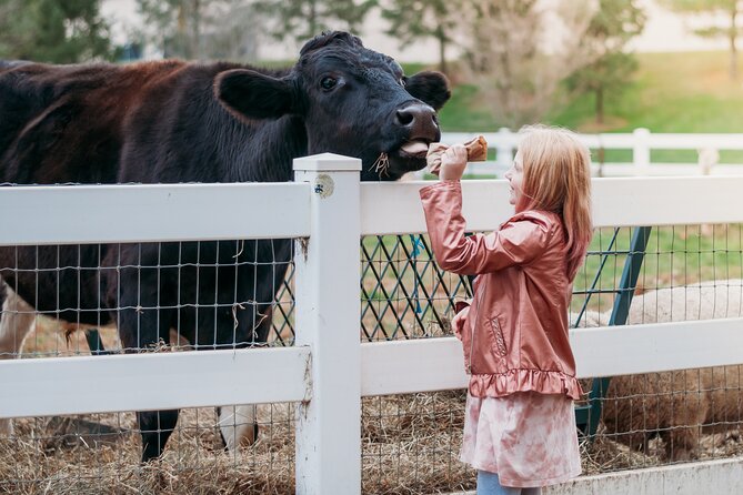 Premium Amish Country Tour Including Amish Farm and House - Farmhouse Tour