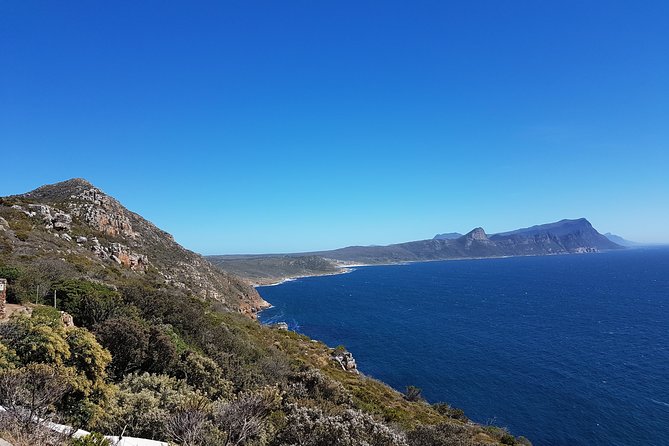 Private Cape Peninsula Tour - Cape Point, Cape of Good Hope Sightseeing - Meeting and Pickup