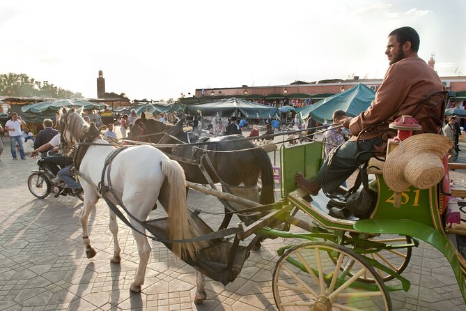 Private Driver for a Full Day in Marrakech - Hassle-free Experience